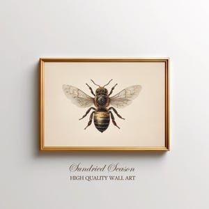 May include: A framed print showing a detailed illustration of a bee with transparent wings, set against a cream background. The artwork is enclosed in a gold-coloured frame. The text "Sundried Season" and "HIGH QUALITY WALL ART" are printed at the bottom.