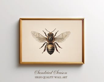 Vintage Honeybee Insect Illustration Print, Natural History Entomology Wall Art, Cottagecore Bee Drawing for Kitchen or Living Room Decor