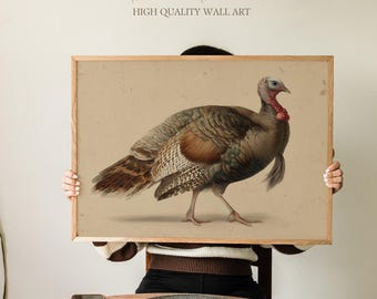 May include: A framed wall art print featuring a detailed illustration of a turkey. The artwork showcases the bird in shades of brown, gray, and white against a beige background. The text "Sundried Season HIGH QUALITY WALL ART" is at the top.