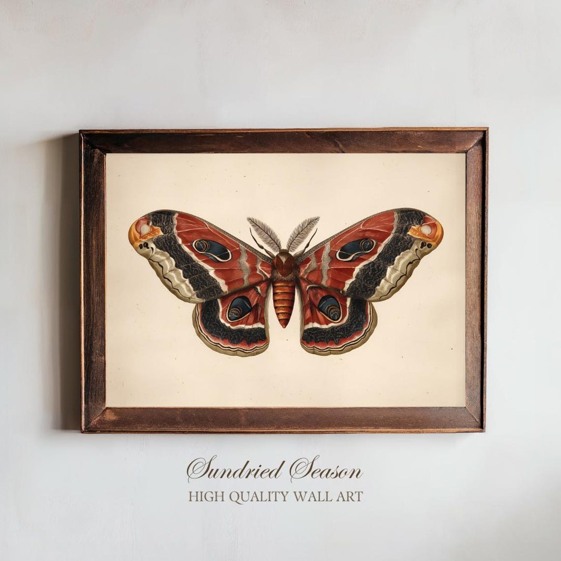 Cecropia Moth Art Print, Vintage Red Insect Illustration, Botanical ...