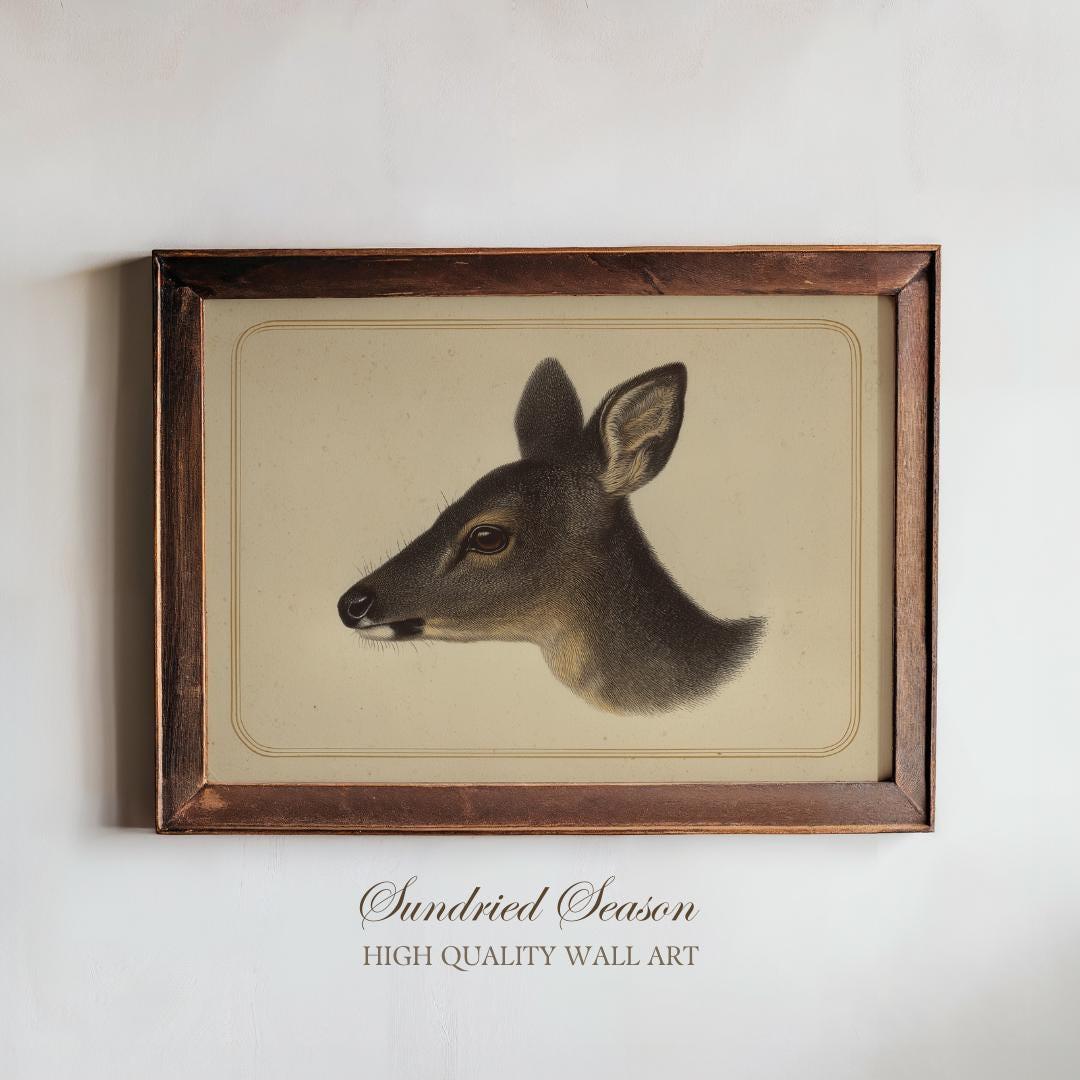 Animalic deer musk - Etsy 日本