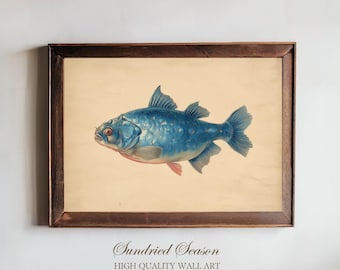 Vetenskapligt tryck av barreleyefisk, illustration av djuphavsvarelse, surrealistisk väggkonst av havet för stämningsfullt badrum eller kustnära heminredning