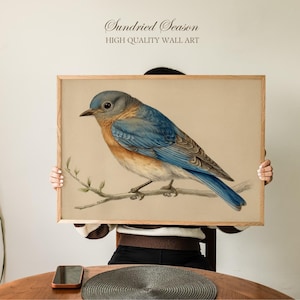 May include: A framed wall art print featuring a detailed illustration of a bluebird perched on a branch. The bird has blue, orange, and gray plumage. The artwork is set against a neutral background, with the text "Sundried Season" and "HIGH QUALITY WALL ART".