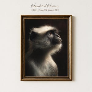 May include: A framed print of a monkey, with a dark background. The monkey has light grey fur and a black face, looking upwards. The frame is a warm brown colour. The text "Sundried Season HIGH QUALITY WALL ART" is at the top of the image.