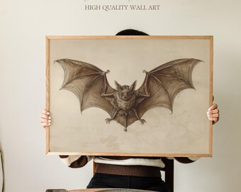 ヴィンテージコウモリのイラストアートプリント、自然史スタイル、書斎