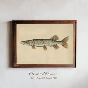 Muskellunge Vintage Illustration Druck, Antiker wissenschaftlicher Süßwasserfisch, Haus am See Wandkunst für Fischerhütte oder Angler Wohnkultur
