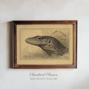 May include: A framed vintage print depicting a detailed illustration of a monitor lizard's head and neck. The artwork is in grayscale, set against a beige background, and framed in a dark brown wooden frame. The text "Sundried Season" and "HIGH QUALITY WALL ART" is at the bottom.