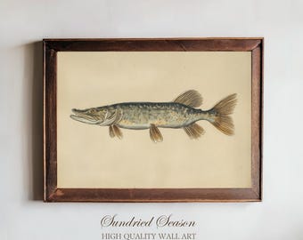 Muskellunge Vintage Illustration Print, Antique Scientific Freshwater Fish, Lake House Wall Art for Fishermen Cabin or Angler Home Decor