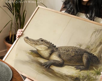 American Alligator Wall Art Print, Everglades and Southern Swamp Illustration, Vintage Natural History Style, Louisiana Themed Office Decor