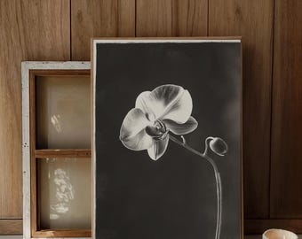 蘭の花の白黒アートプリント、洗練された花柄の壁飾り、ミニマルな植物 