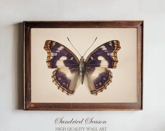 May include: A framed print featuring a detailed illustration of a butterfly. The butterfly has purple, white, and brown wings, with a symmetrical pattern. The artwork is set against a cream background and framed in a dark wood.
