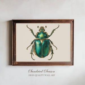 Vintage Green Scarab Beetle Wall Art, Scientific Insect Drawing Print, Gothic Nature-Inspired Artwork for Study or Gallery Wall in Bedroom