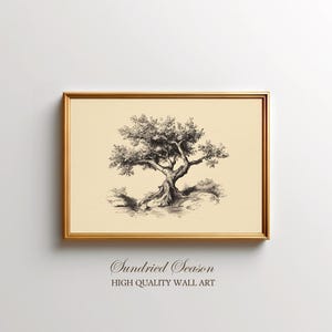 May include: A framed print featuring a detailed black and white illustration of a mature tree with a sprawling canopy and exposed roots. The artwork is set against a cream-colored background and framed in a gold-colored frame. The text "Sundried Season" and "HIGH QUALITY WALL ART" are at the bottom.