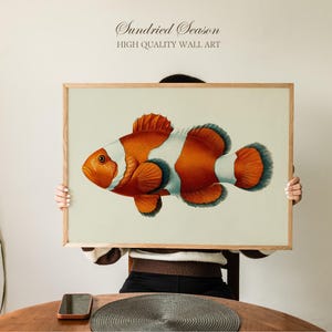 Vintage Clownfish Illustration, Tropical Reef Fish Wall Art, Coastal Ocean Marine Biology Print for Nautical Bathroom or Kids Nursery Decor