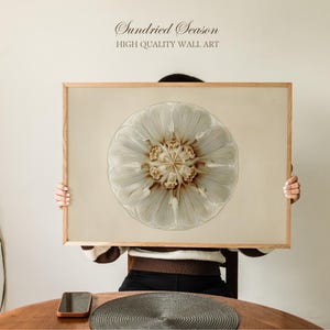 Vintage Jellyfish Art Print, Scientific Marine Biology Cross Section Illustration, Elegant Ocean Wall Decor for Bathroom, Office or Study