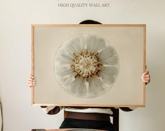 Vintage Jellyfish Art Print, Scientific Marine Biology Cross Section Illustration, Elegant Ocean Wall Decor for Bathroom, Office or Study