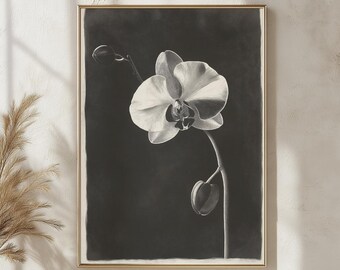 モノクロの蘭の花のイラスト、ドラマチックな白黒の花のアート、家庭や