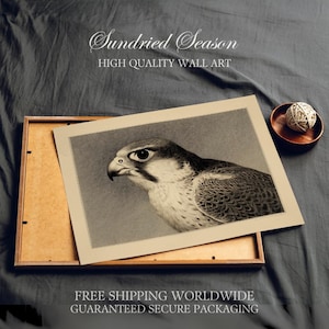 Może przedstawiać: Oprawiony wydruk przedstawiający szczegółową ilustrację głowy sokoła. Grafika jest czarno-biała, z tekstem "Sundried Season HIGH QUALITY WALL ART" na górze. Wydruk jest w drewnianej ramie, a na małym drewnianym talerzu leży dekoracyjna kulka.