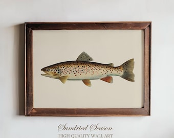 Vintage Brown Trout Art Print, Detailed Freshwater Fish Illustration, Rustic Nature Wall Decor for Cabin, Lake House Lodge or Fishing Gift