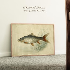Puede incluir: Arte mural enmarcado con una ilustración detallada de un pez con cuerpo gris y aletas rojo-anaranjadas. La obra de arte está sobre un fondo claro con plantas acuáticas. El texto "Sundried Season HIGH QUALITY WALL ART" está en la parte superior.