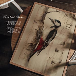 May include: A framed print featuring a detailed illustration of a woodpecker perched on a birch tree. The bird has black, white, and red plumage. The artwork is set against a neutral background and framed in a light wood.