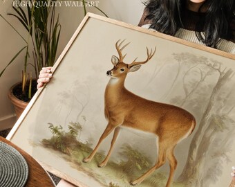White Tailed Deer Wall Art Print, Vintage Whitetail Buck Illustration for Cabin, Hunting Lodge, or Rustic Home Decor, Art Gift for Hunters