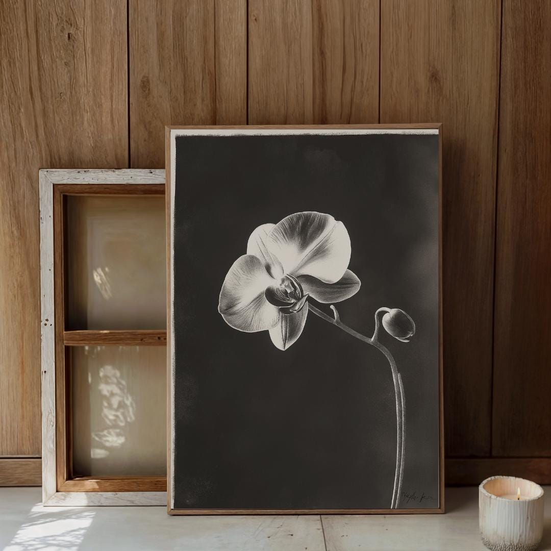 Peggy Martin Rose Bush 5GAL-$38.97 Climbing Rose without the trellis, image size:1080x1080