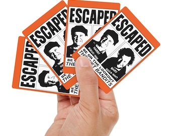 Home Alone Escapted-speelkaarten Wet Bandits Pokerkaarten Home Alone Movie Deck Marv en Harry Mugshot-kaarten jaren 90 nostalgie game-avond voor kinderen