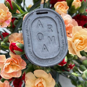 May include: A grey oval-shaped diffuser with the word "Aroma" embossed in large letters. The diffuser is surrounded by pink and red carnations.