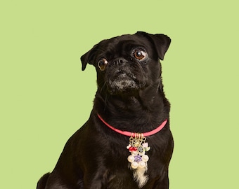 choked up! matching pet collar/necklace x Best in Show Collection