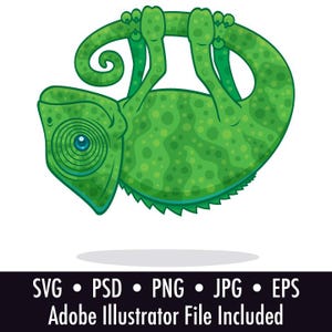 Cute MAGICAL FLOATING CHAMELEON Cartoon Clipart - Digital Download Files - .psd, .png, .jpg, .eps, .svg, Adobe Illustrator File Included
