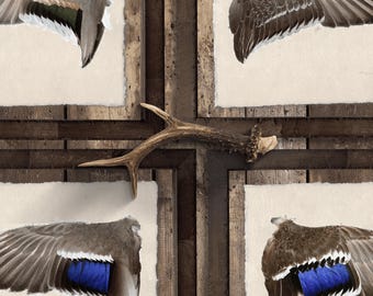 Illustrated Duck Wing Artwork - Mississippi Flyway Waterfowl - Fine Art Prints on Deckled Paper - Rustic Wall Decor for Hunters