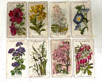 Wills's Cigarettes Old English Garden Flowers Collector Cards (1911) 8 cards