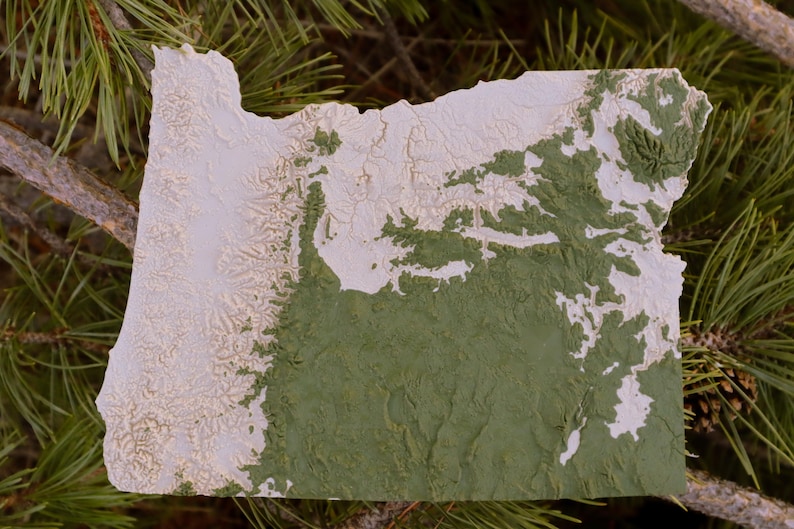 Mini Topographic U.S. States & Territories: 3D Topographic Mini Map (4