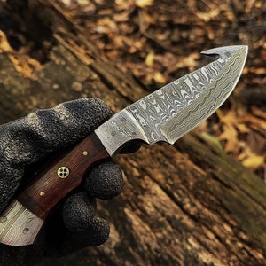 May include: A small,  damascus steel hunting knife with a brown wooden handle. The knife has a hook on the end of the blade.