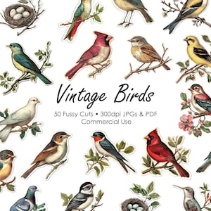 Vintage Birds - 50 Fussy Cuts | Clip Art | Junk Journal | Scrapbooking | Ephemera | Printable Digital Download