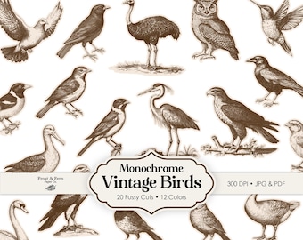 Recortes vintage de aves / Efímeras zoológicas (descarga digital)
