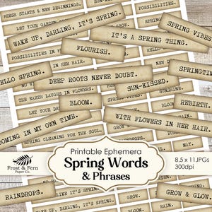 Parole del diario di primavera / Frasi effimere primaverili / Citazioni di album / Vintage / Adesivi collage clipart / Download digitale stampabile