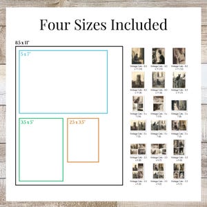 K&ouml;nnte beinhalten: Ein wei&szlig;er Druck mit Vintage-Katzenbildern in verschiedenen Gr&ouml;&szlig;en. Der Text "Four Sizes Included" steht oben. Die Gr&ouml;&szlig;en sind 21,6 x 27,9 cm, 12,7 x 17,8 cm, 8,9 x 12,7 cm und 6,4 x 8,9 cm. Der Druck enth&auml;lt mehrere Katzenfotos.