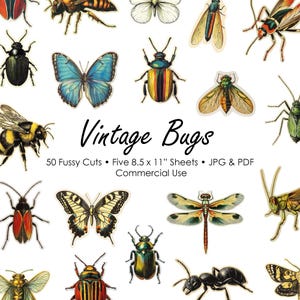 Cortes Fussy de Insetos Vintage | Clip Art | Diário de Junk de Borboletas | Álbum de Recortes de Mariposas | Insetos Efêmeras | Download Digital para Impressão