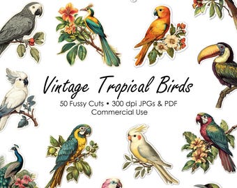 Tagli elaborati di uccelli tropicali vintage / Effimere della giungla (download digitale)