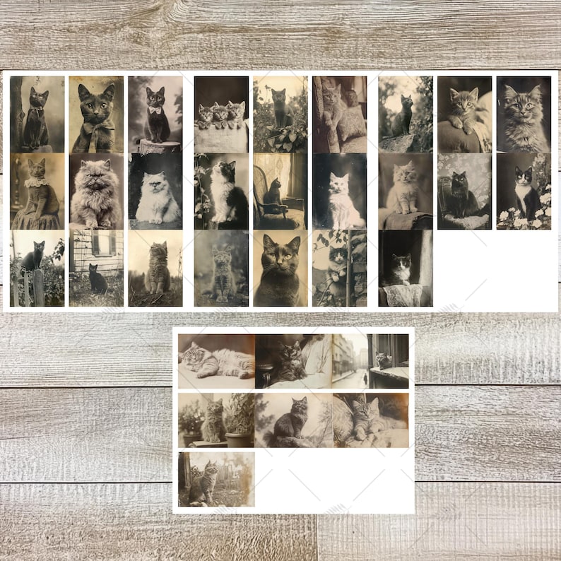 K&ouml;nnte beinhalten: Eine Sammlung von Vintage-Schwarz-Wei&szlig;-Fotografien mit verschiedenen Katzen in unterschiedlichen Posen. Die Bilder zeigen Katzen beim Sitzen, Stehen und Faulenzen, einige tragen Accessoires. Die Fotografien haben einen Sepia-Ton und sind auf einer Holzoberfl&auml;che angeordnet.
