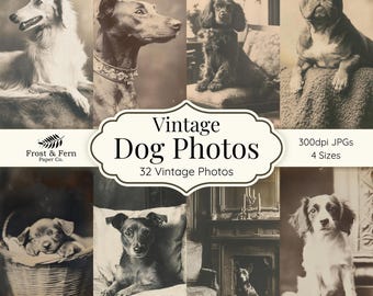 Vintage Puppy Photos Ephemera | Scrapbook, Collage (Digital Download)