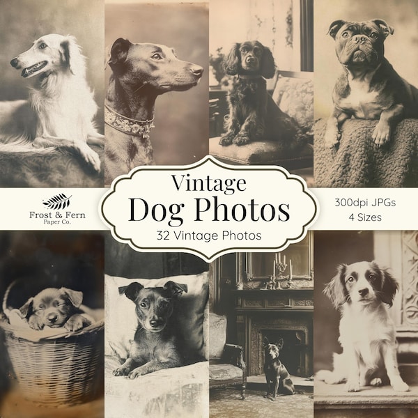 Vintage Puppy Photos Ephemera | Scrapbook, Collage (Digital Download)