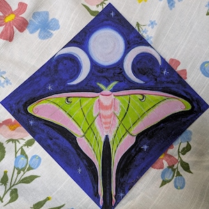 Pink Spirit Moth Giclee Print