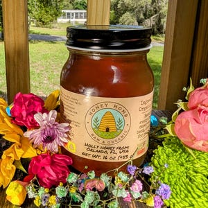 1 LB Florida Holly Honey