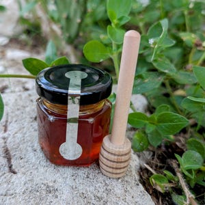 1oz Massachusetts Raw Honey