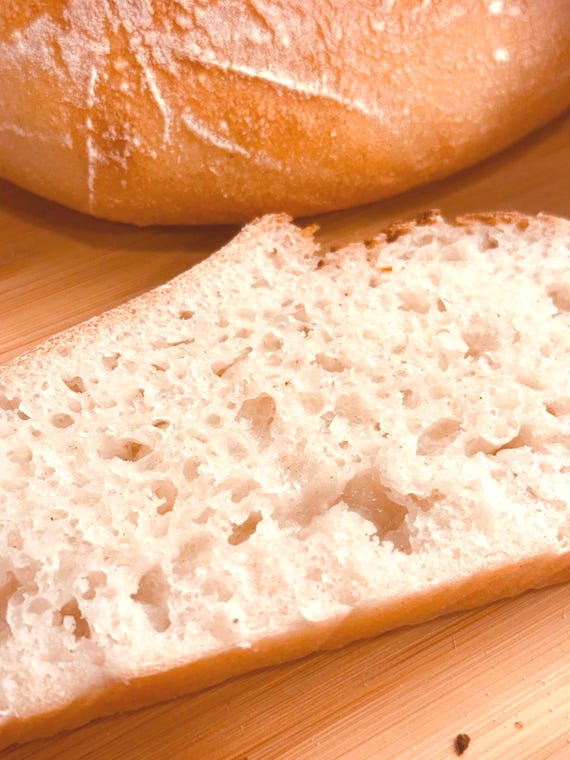 GLUTEN FREE Sourdough Starter Organic 240+yr Old San Francisco Heritage -  Live Dehydrated