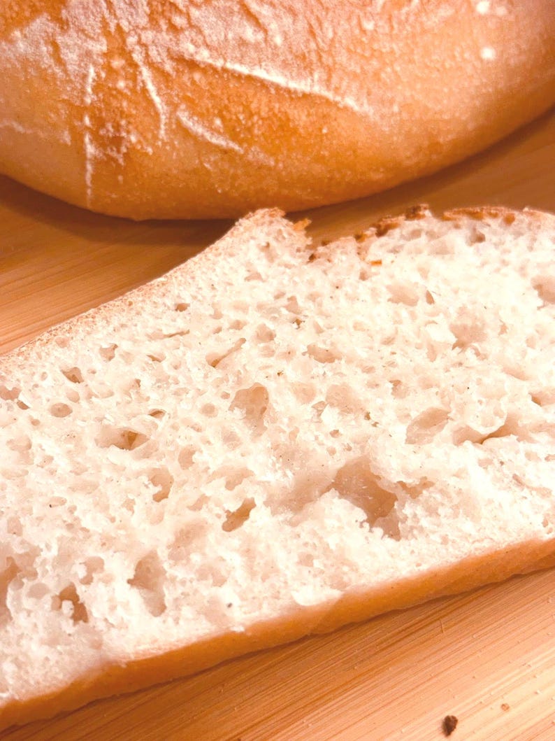 GLUTEN FREE Sourdough Starter Organic 240+yr Old San Francisco Heritage - Live Dehydrated image 1