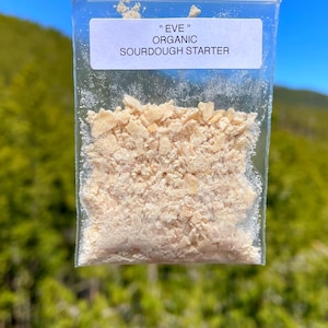Eve -  Sourdough Starter - Organic Dehydrated Starter - Strong!